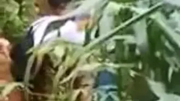 Dokumentasi Gadis Cantik Bersantai Kebun Kasur
